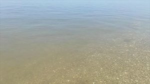 Поездка на Азовское море. Наливной пол в комнате