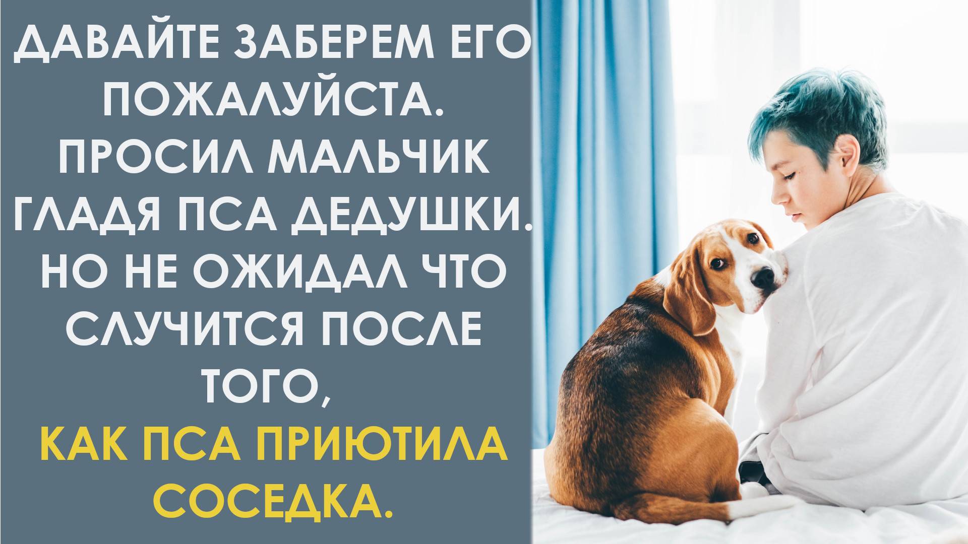 Давайте заберём его, пожалуйста. Просил мальчик, гладя пса дедушки. А когда пса приютила соседка