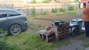 Дачная движуха/окучиваю картоху/лазурит/14.06.25г
