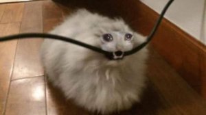 Месячные каникулы