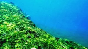 п. Южно-Морской.  Прибрежка - 2025г.  (5).  [ 4K ]