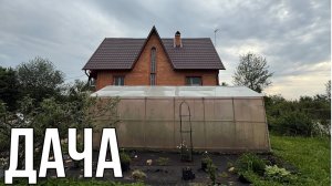 ДАЧА 12 ИЮНЯ 2025.