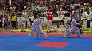 Чемпионат и первенство НСО по тхэквондо ИТФ, СК "Александрит", 10-11.05.2025