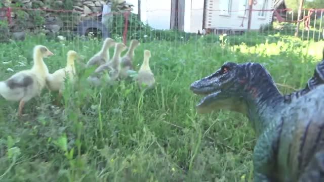 Динозавры игрушки динозавры охотятся на гусят.Видео распаковка обзор Видео для детей