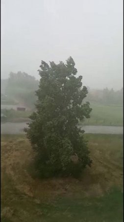 Долгожданный дождь. 💦 п. Калининский ( 15.06.2025г) 🤪