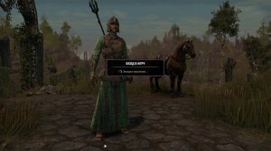 The Elder Scrolls Online #8