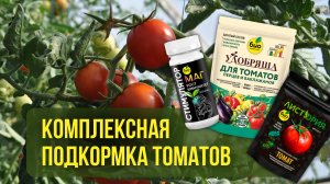 Комплексная подкормка томатов