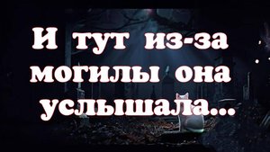 Как кот с кладбища вывел| КИНГЕН СТИВ