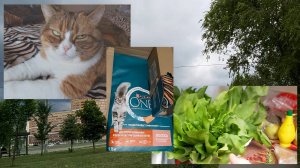 Посылки от Виктории))) Сонино счастье! Мечты сбываются! Раздождилось. Простыла на ярмарке)))