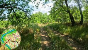 Чемпионат Волгоградской области. Июнь 2025. Кросс-лонг. Ориентирование от первого лица.