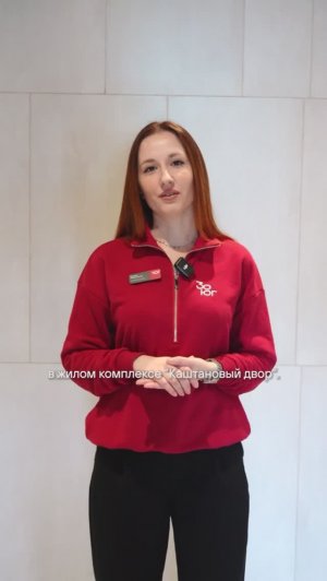 Система безопасности ЖК Каштановый Двор