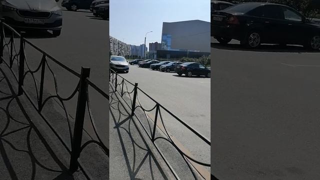 На треню