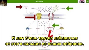 Метиленовый синий — что он может, когда и как его использовать