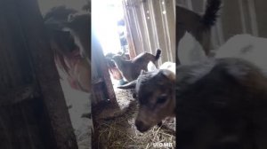 Самое доброе утро! Я прекрасна как цветок 🥰🤌🏻