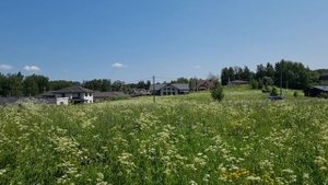 Кипролье 28 соток ИЖС