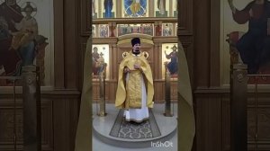 Неделя всех святых. О значении святых в жизни Церкви. Проповедь о. Вячеслава. 15.6.25