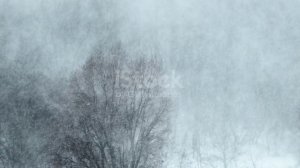 Вальс (Весна на двоих, автор Павлова Ольга, стихи,муз(суно),монт, ВАЛЬСЫ ОЧЕНЬ ЛЮБЛЮ ПОЧТИ КАК ТАНГО