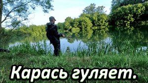 КИПИТ ВОДА ОТ КАРАСЯ