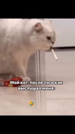 Закуришь от такой жизни...