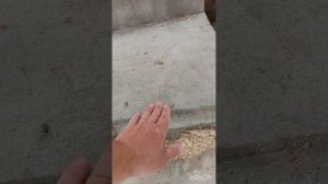 Дом 😱 нервы, стресс, споры? Нет, просто ТехНадЗор 🤗!