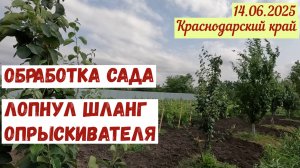 Краснодарский край(14.06.2025). Обработка сада. Лопнул шланг опрыскивателя.