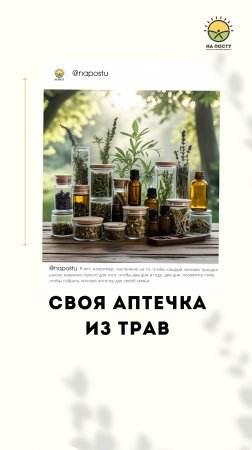 Своя аптечка из трав