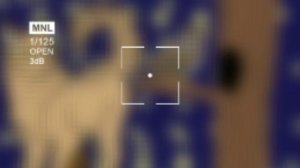 арт для начинающего квшника 🌕совокрылка🌕