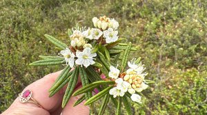 Видео Микс ❤️