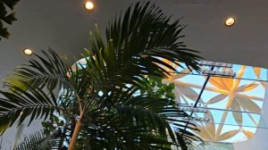 Павильон бабочек на острове Al Noor. Шарджа. ОАЭ