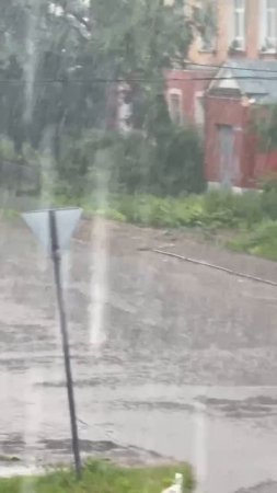 🌧️За сутки в Подмосковье выпало 40% от месячной нормы осадков🌧️