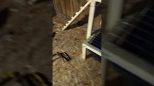 1000019249.mp4