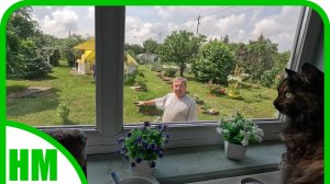 15 июня.  Просто болталка. Обо всём по немногу.