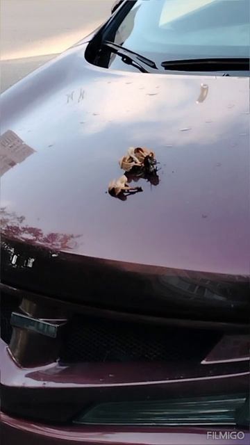 Поганенький намёк!