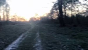 すべてがうまくいくでしょう。