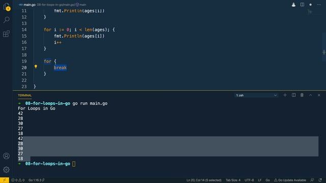 09 - For Loops in Go