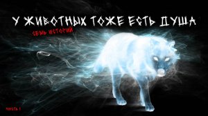 У животных тоже есть душа (7в1) Выпуск №1