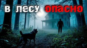 "В лесу может быть опасно". 3 истории, после которых ты не захочешь ночевать в палатке.