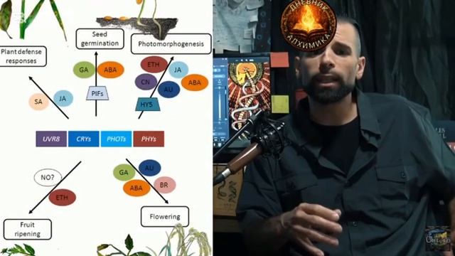 СОВРЕМЕННЫЕ МИСТИКИ И ДРЕВНИЕ ШАМАНЫ