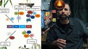 СОВРЕМЕННЫЕ МИСТИКИ И ДРЕВНИЕ ШАМАНЫ