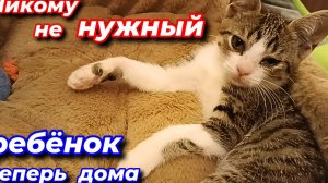 Никому не нужный ребёнок теперь дома.