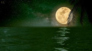 Путь к свету автор Альфия Болатова