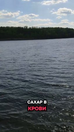 Мои года, мое богатство