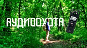 Аудиоохота в Лесной Чаще / Как Записать Пение Птиц и Звуки Природы