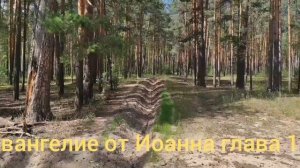 Библия Евангелие от Иоанна глава 10