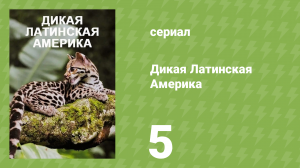 Дикая Латинская Америка 5 серия «Безконечные равнины» (документальный сериал, 2020)