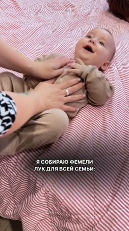 Фэмели лук