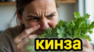Почему ты либо обожаешь кинзу, либо хочешь её сжечь.