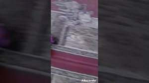 почему зомби стали сильнее
