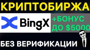 Криптобиржа без верификации — Регистрация на BingX с телефона / Бонусы за регистрацию на бирже Бинкс