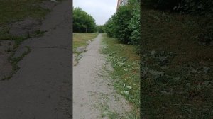 гуляем